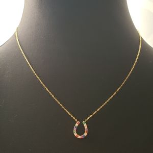 ￼

Multi Color Horseshoe Charm Simple Chain Neckla